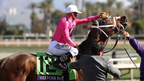Belvoir Bay cools off after winning the Breeders Cup Turf Sprint race.
