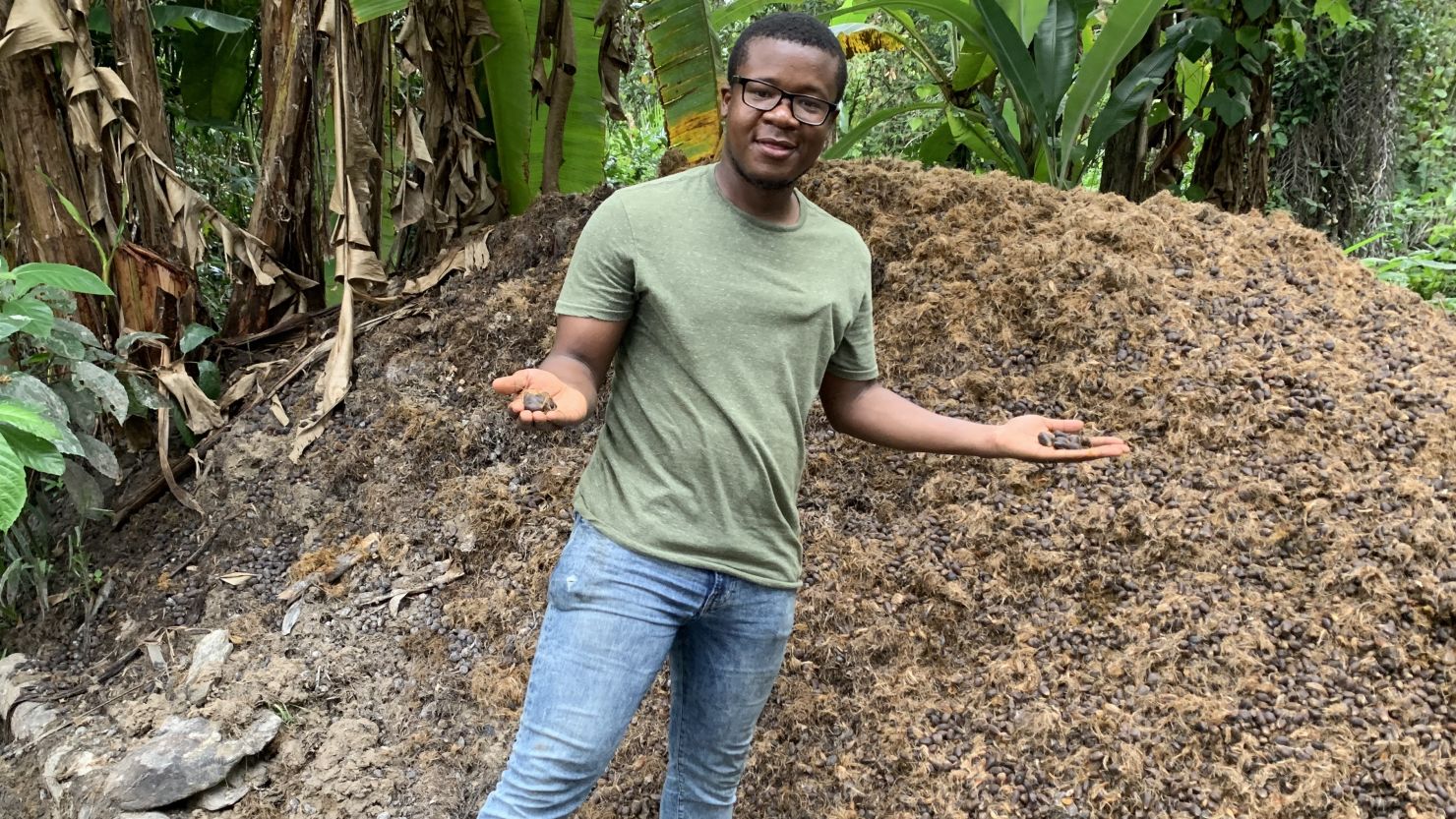 Liberian Mahmud Johnson set up J-Palm aged 22 , to increase yields of sustainable palm oil. 