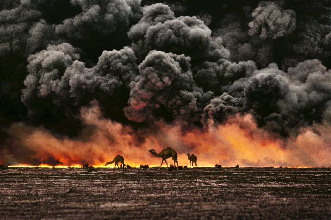 Camels and Oil Fields. Al Ahmadi, Kuwait, 1991.