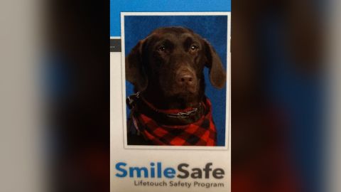 Tosha the service dog is a part of Arkansas's Gravette Upper Elementary school family, so it made sense that she got her own photo in the yearbook. 