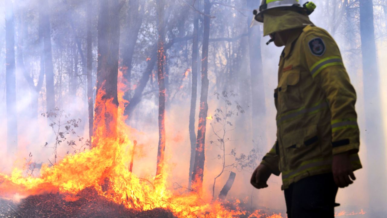 A firefighter works as a bushfire, believed to have been sparked by a lightning strike that has ravaged an area of over 2,000 hectares in northern New South Wales state, burns in Port Macquarie on November 2, 2019. - Hundreds of koalas are feared to have burned to death in an out-of-control bushfire on Australia's east coast, wildlife authorities said October 30.