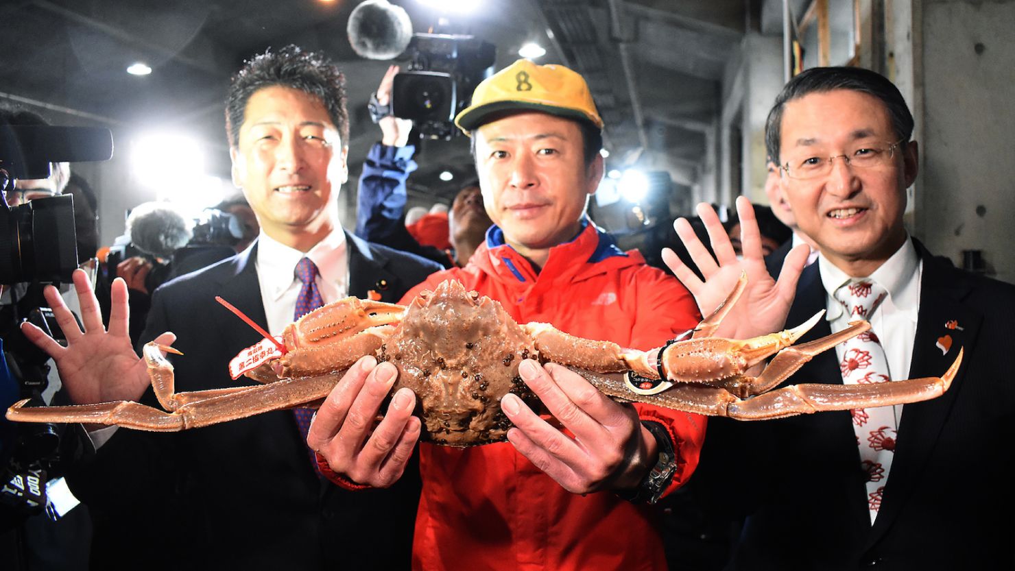 Record Snow Crab Japan Tottori