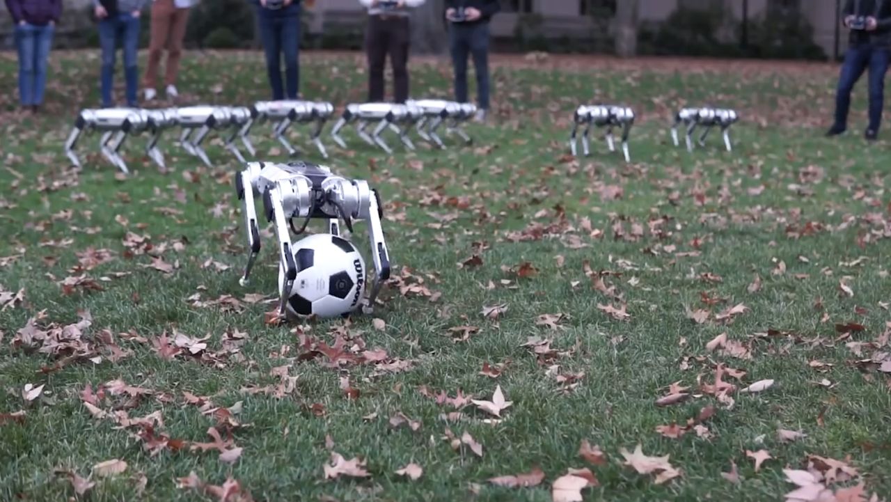 mit mini cheetah robot soccer