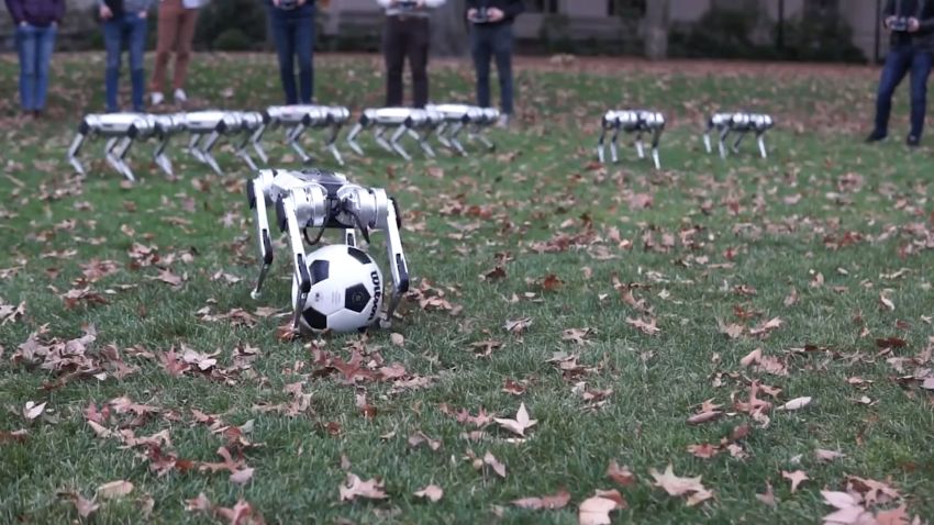 mit mini cheetah robot soccer