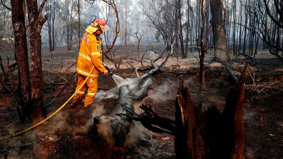 A firefighter works to contain a bushfire near Taree on November 10.