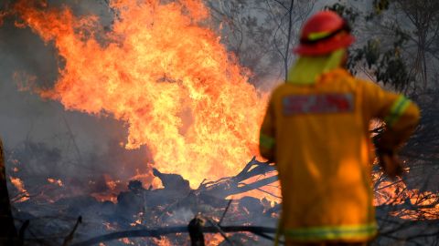 A firefighter works to contain a bushfire near the town of Glen Innes in the state of New South Wales on Sunday.