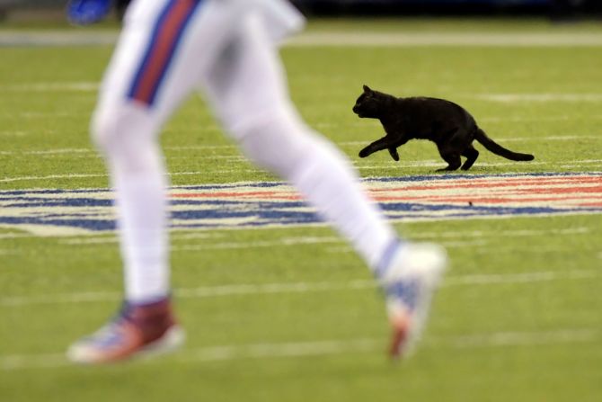 <a href="index.php?page=&url=https%3A%2F%2Fwww-m.cnn.com%2F2019%2F11%2F05%2Fus%2Fcowboys-giants-cat-trnd%2Findex.html%3Fr%3Dhttps%253A%252F%252Fwww.google.com%252FCNNCNN" target="_blank">A cat runs on the field</a> during the second quarter of an NFL football game between the New York Giants and the Dallas Cowboys, November 4, in East Rutherford, New Jersey.