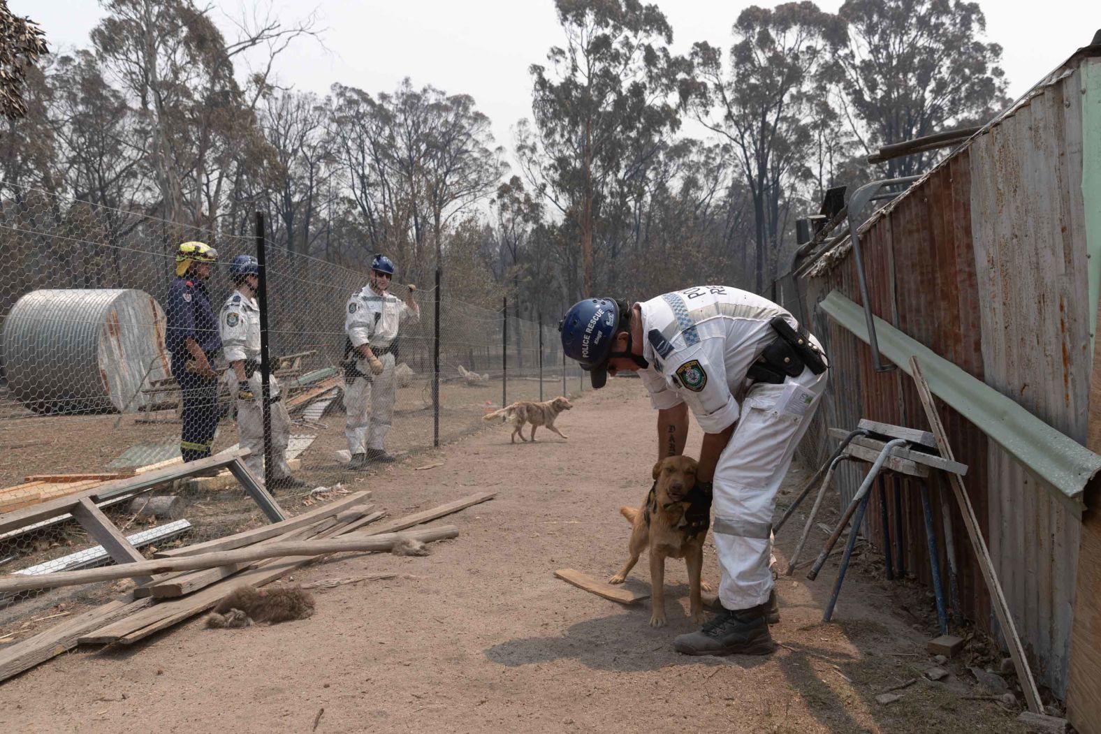 Emergency crews tend to animals on a property in Torrington on November 11.