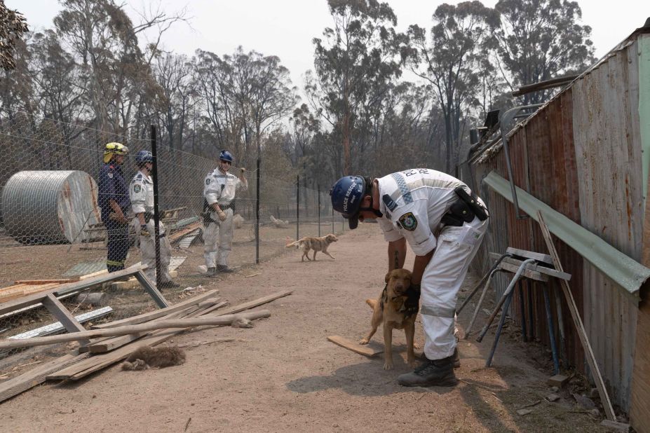 Emergency crews tend to animals on a property in Torrington on November 11.