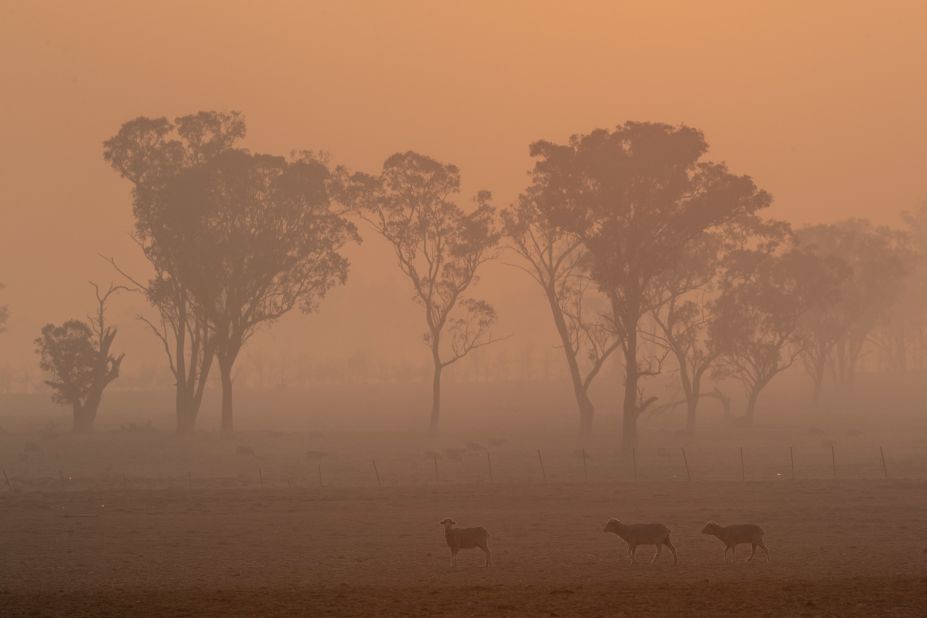 Smoke from the Gulf Road Fire fills the air in Glen Innes on November 11.