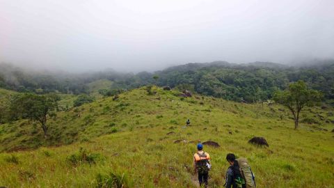 The tiny mammals live in coastal rainforest in southern Vietnam.