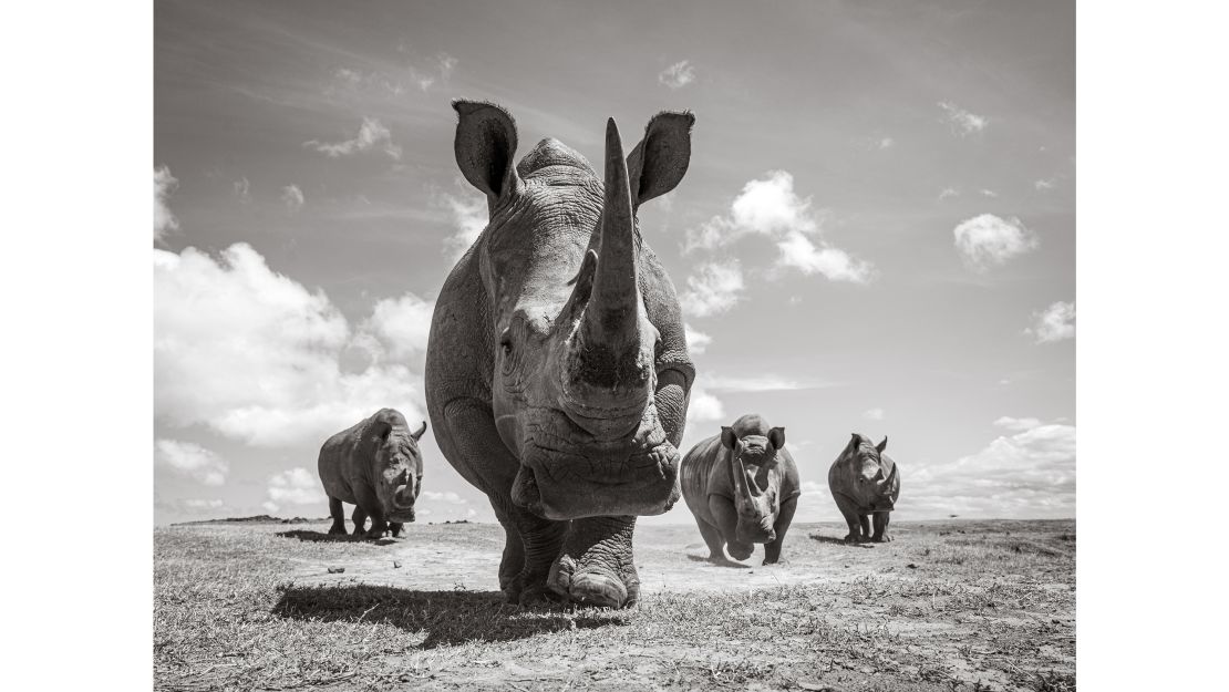 The photographer worked with conservation groups to take the images, including this one at Solio Lodge, Kenya.