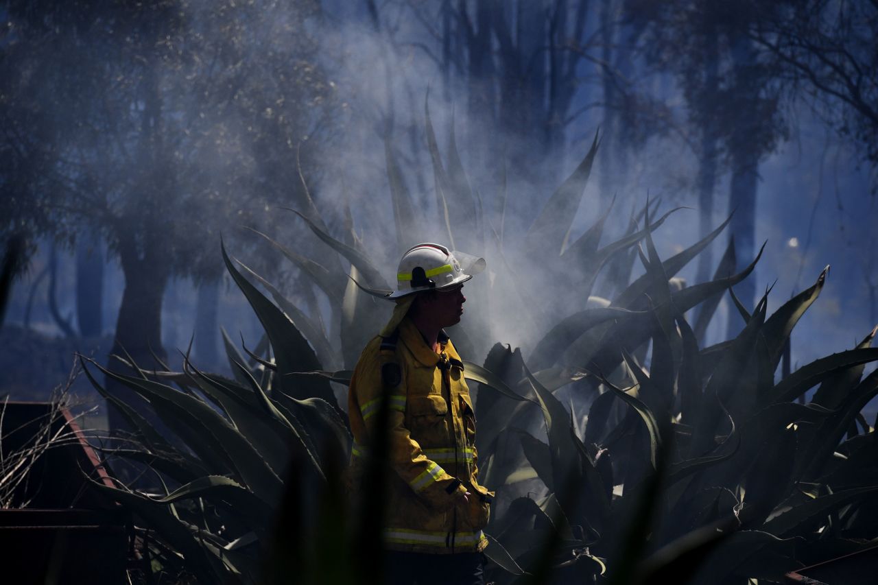 A firefighter mops up after a bushfire in the Sydney suburb of Llandilo on November 12.