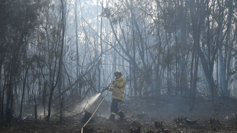 A firefighter doses a bushfire in the residential area of Sydney on Tuesday.