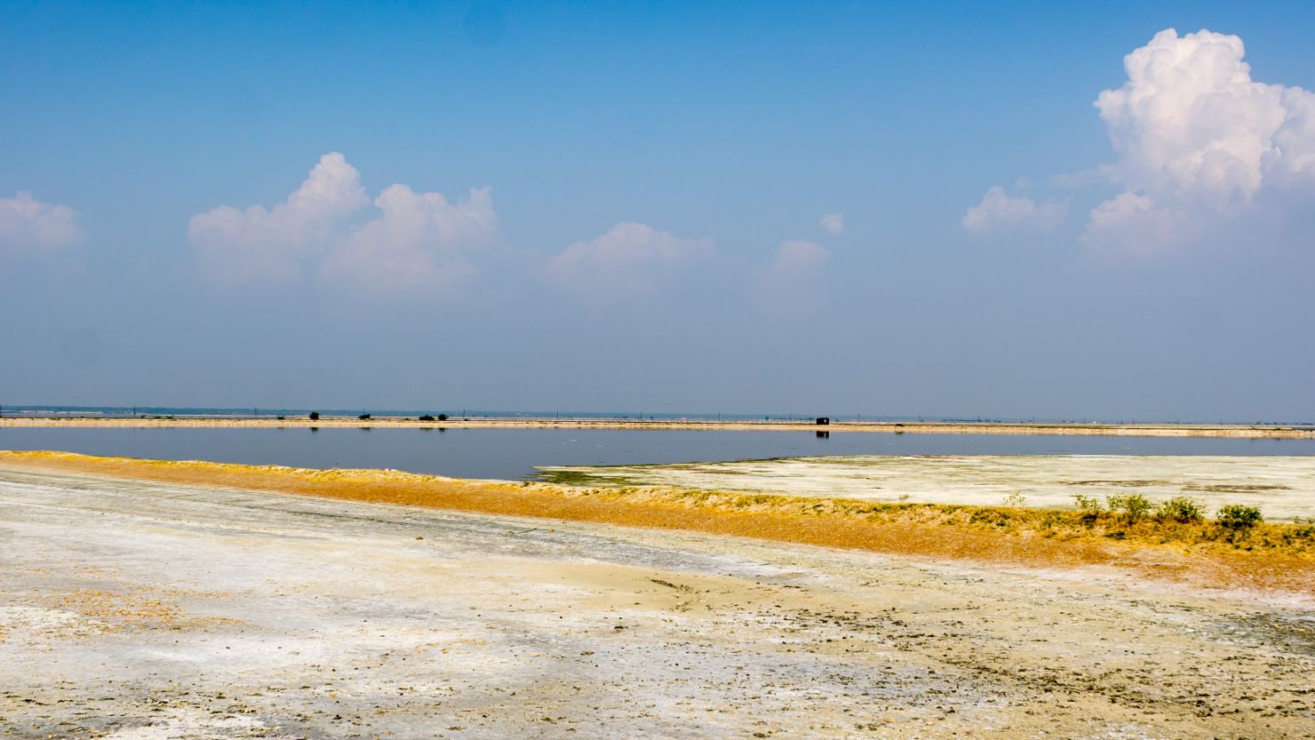 The Sambhar Salt Lake, India's largest inland salt lake, is in the northwestern state of Rajasthan.