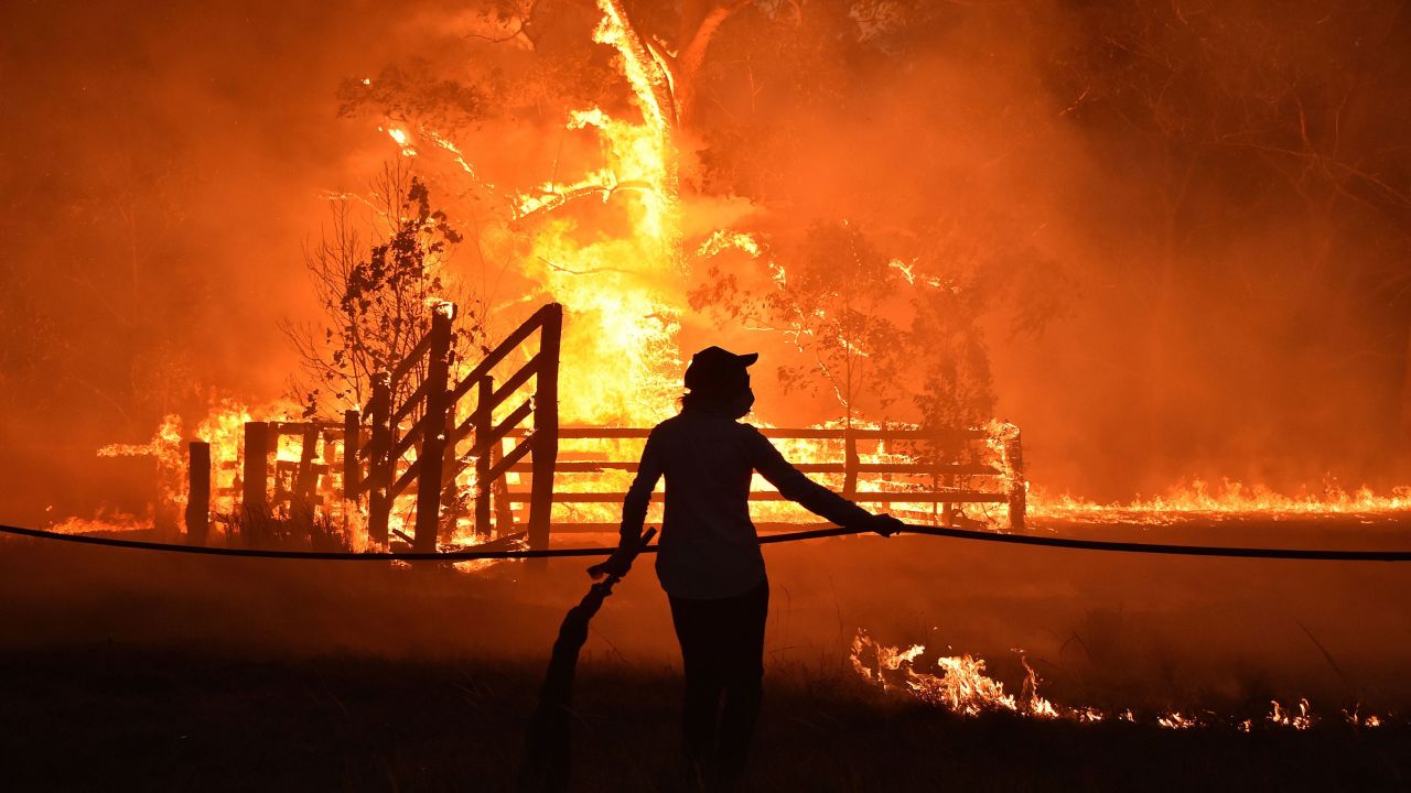 Residents defend a property from a bushfire at Hillsville near Taree, 350km north of Sydney on November 12.
