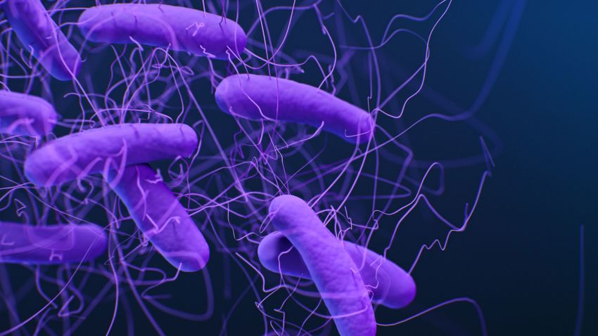 Clostridioides difficile or C. Diff is a bacteria that causes diarrhea and inflammation of the colon. Every year there 223,900 cases of infection and 12,800 deaths from the bacteria. The pathogen is listed as one of the CDC's five urgent threats to antibiotic resistance.