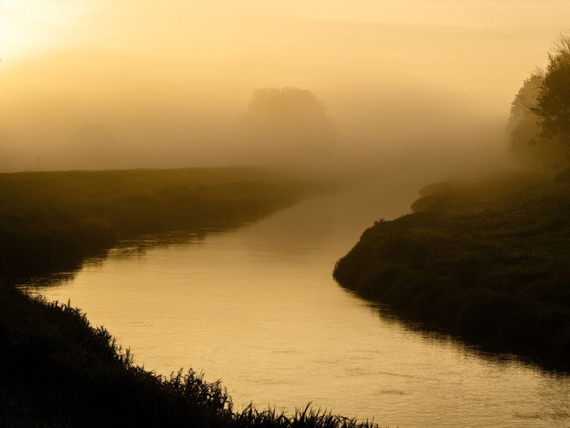 Illinois has lost 99% of its original prairie, according to Elizabeth Bach, an ecosystem restoration scientist with The Nature Conservancy.