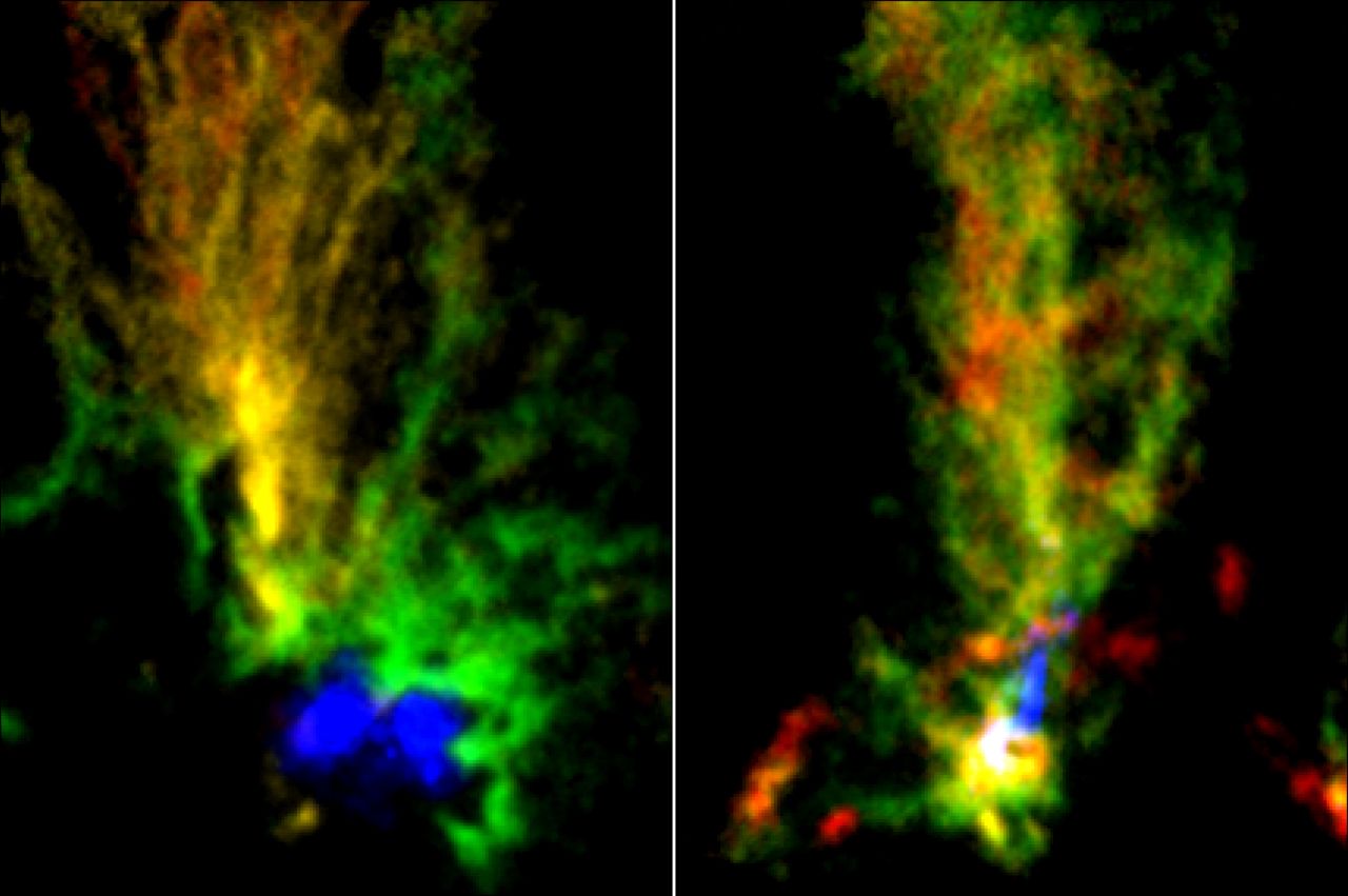 Two gaseous clouds resembling peacocks have been found in neighboring dwarf galaxy the Large Magellanic Cloud. In these images by the ALMA telescopes, red and green highlight molecular gas while blue shows ionized hydrogen gas.