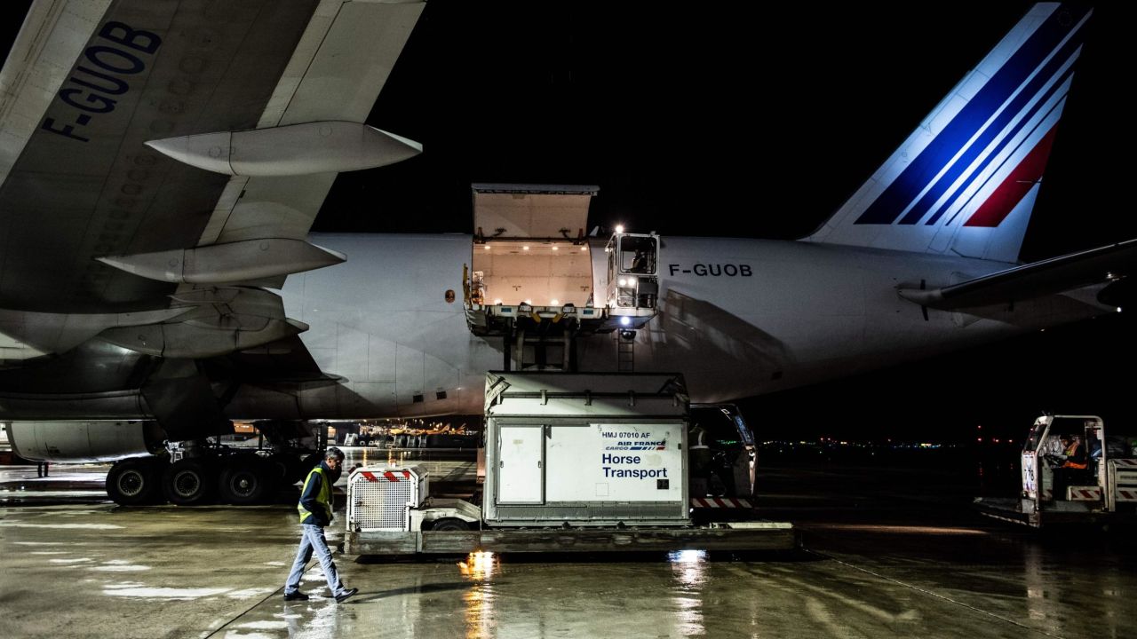 A box containing horses is loaded into a cargo plane.