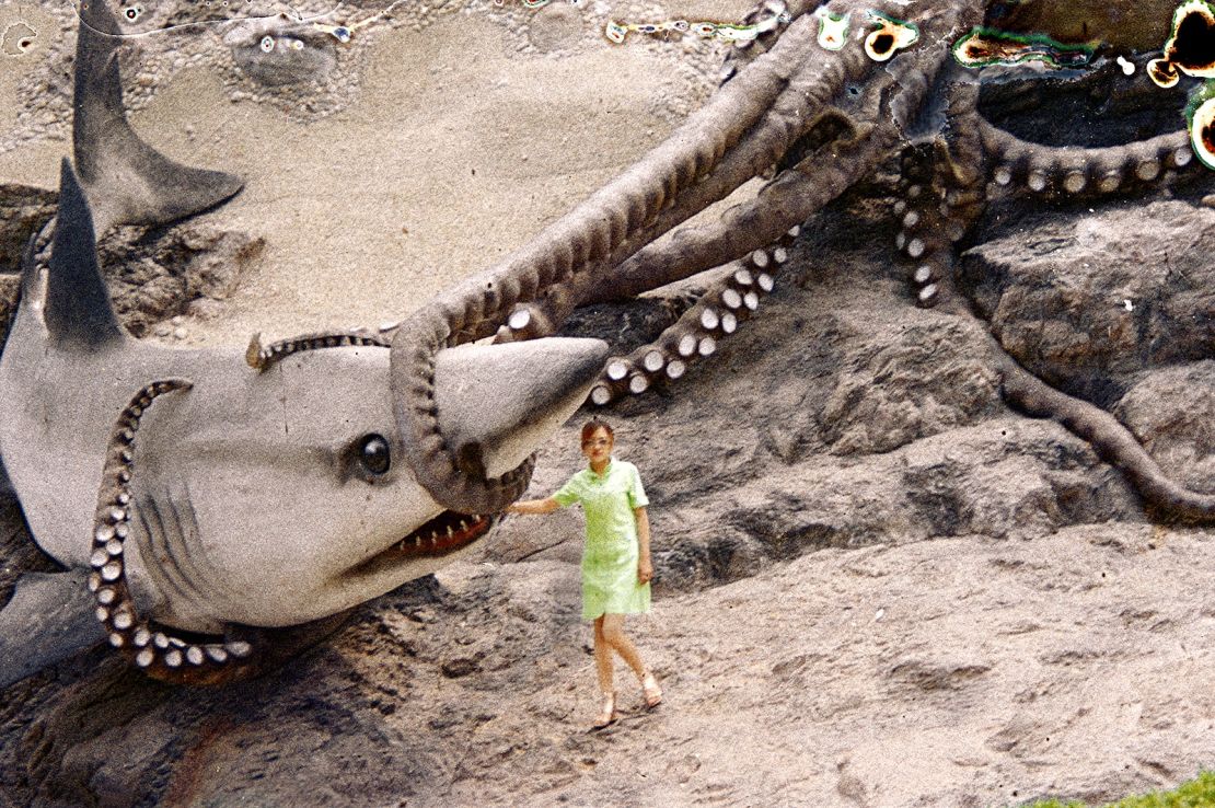 A recovered image shows a woman posing with a fake shark.