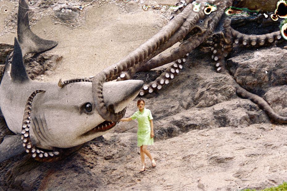 One of the recovered images shows a woman posing with a fake shark.