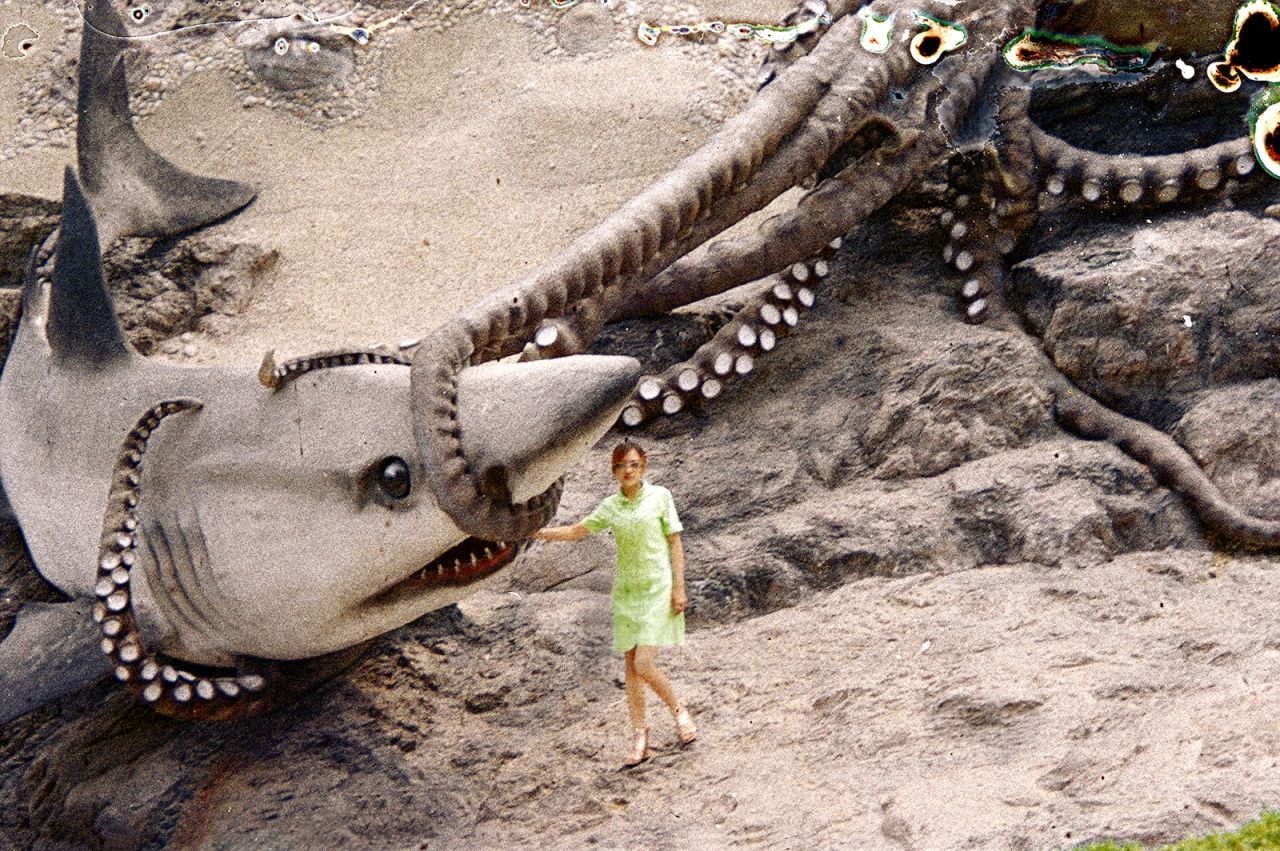 A recovered image shows a woman posing with a fake shark.