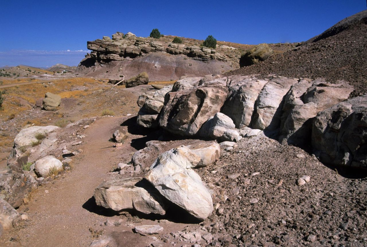 An easy loop hike around Dinosaur Hill marks the site where a 70-foot, 30-ton Apatosaurus was excavated.