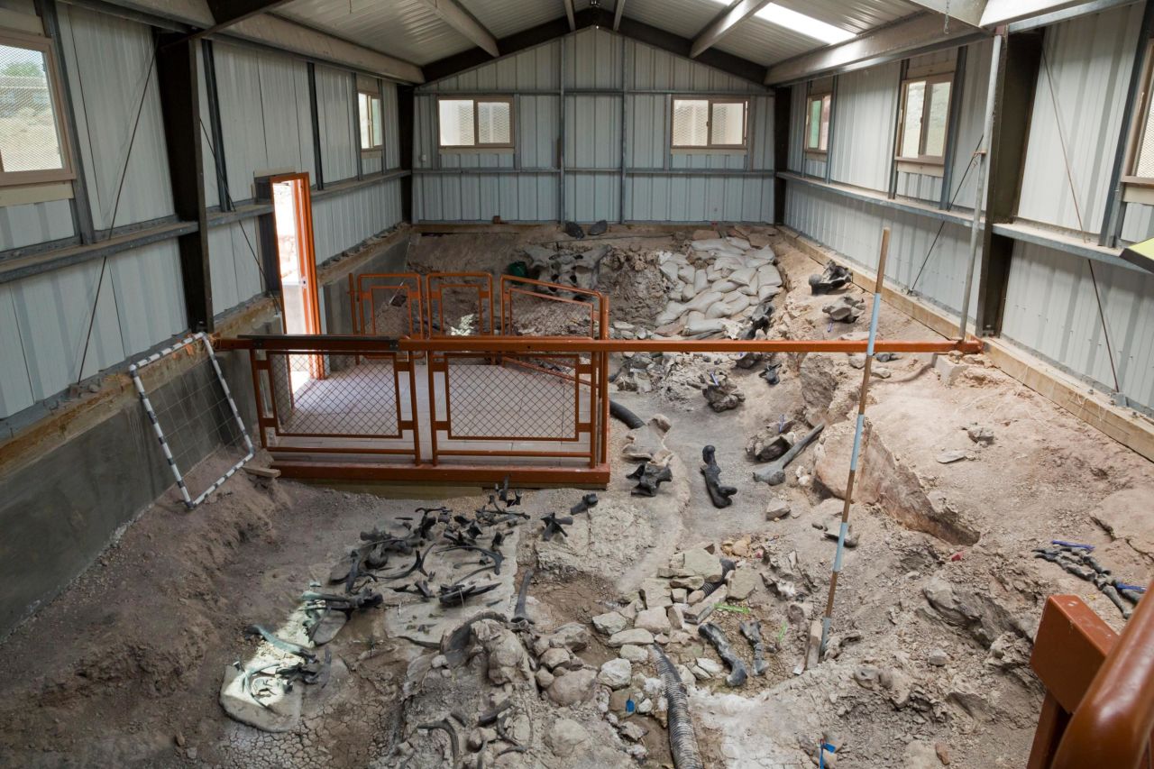 Since it was first excavated in the 1920s, some 12,000 bones belonging to at least 74 dinosaurs have been unearthed at Cleveland-Lloyd Dinosaur Quarry, now the site of Jurassic National Monument.
