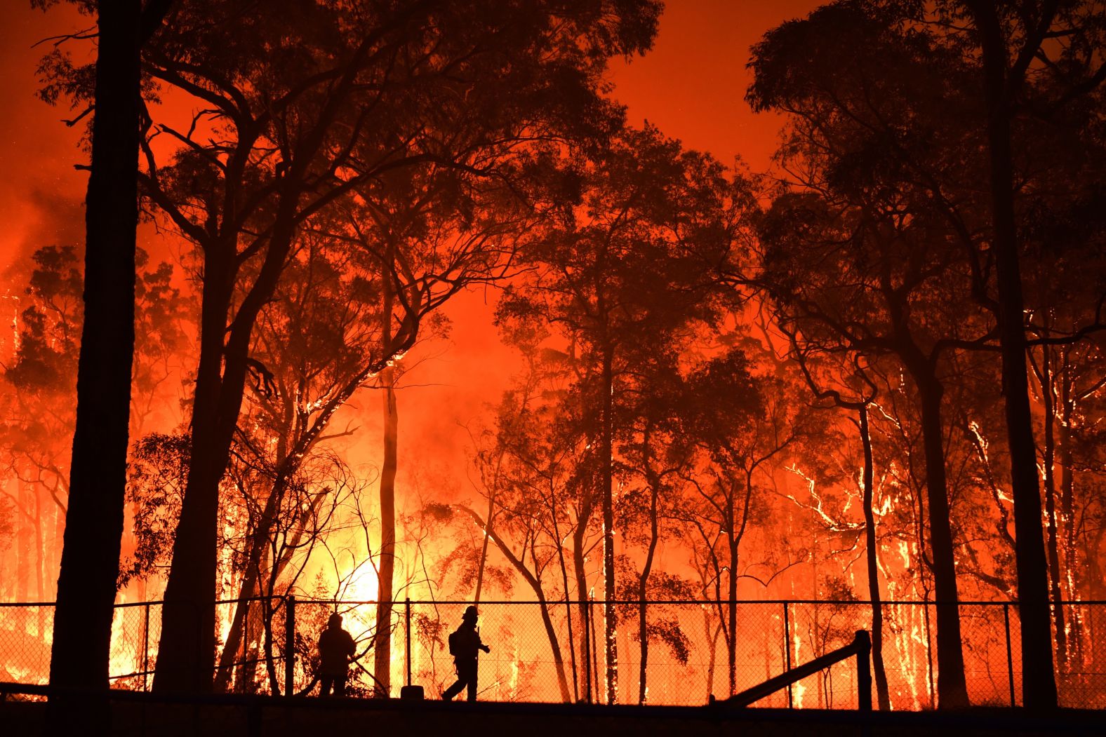 Firefighters try to protect the Colo Heights Public School on November 19.