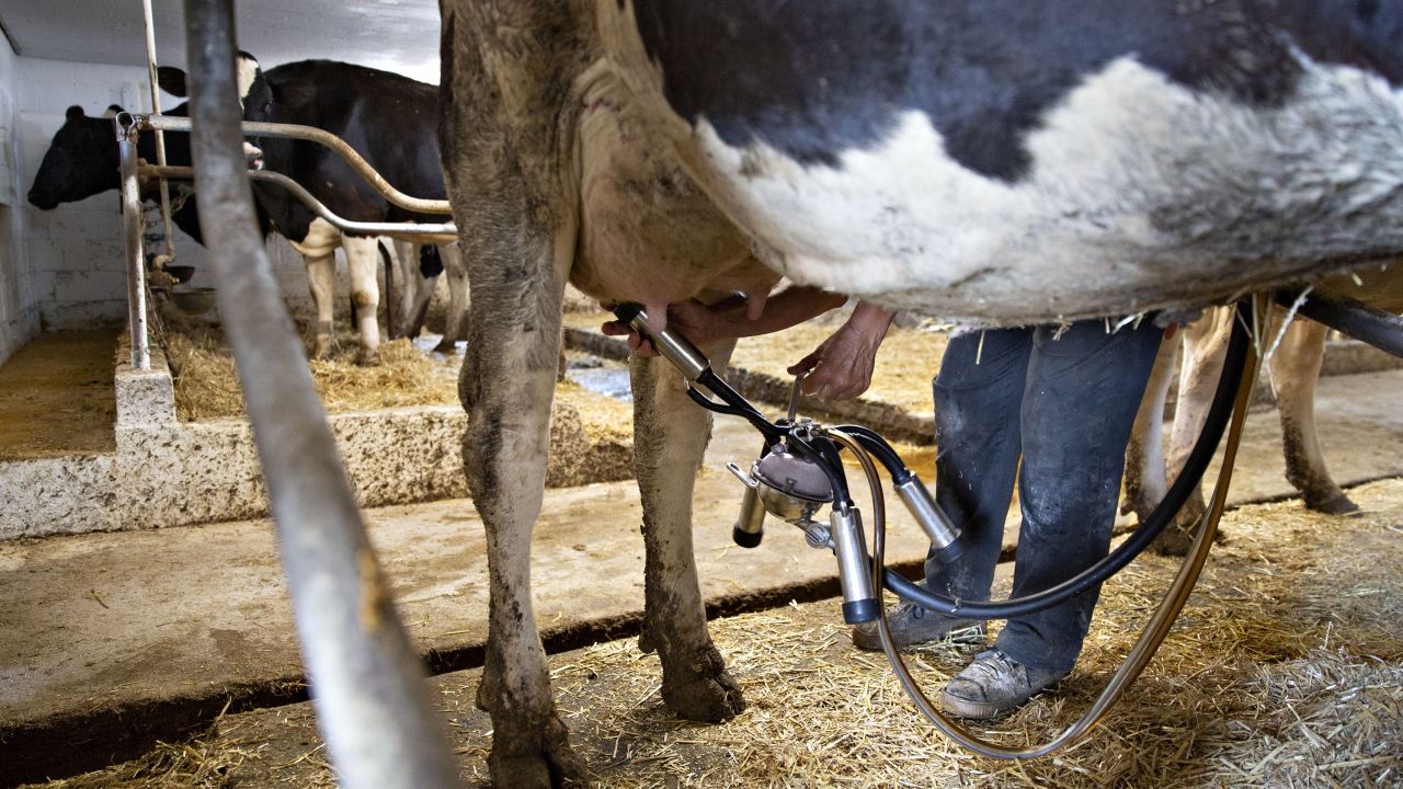 In the United States, some farms are failing while others expand.