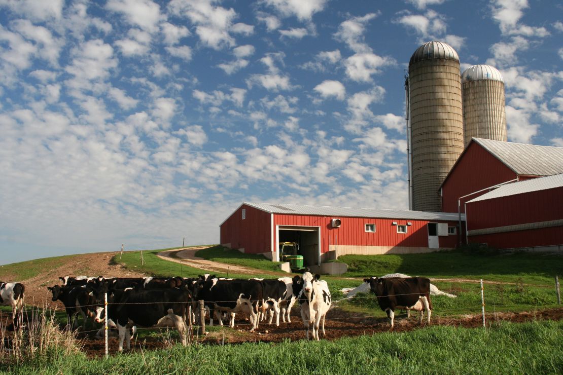 Dairy farmers are hopeful that with help, they'll be able to get back on track.