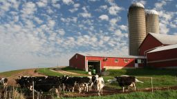Wisconsin dairy farm -stock