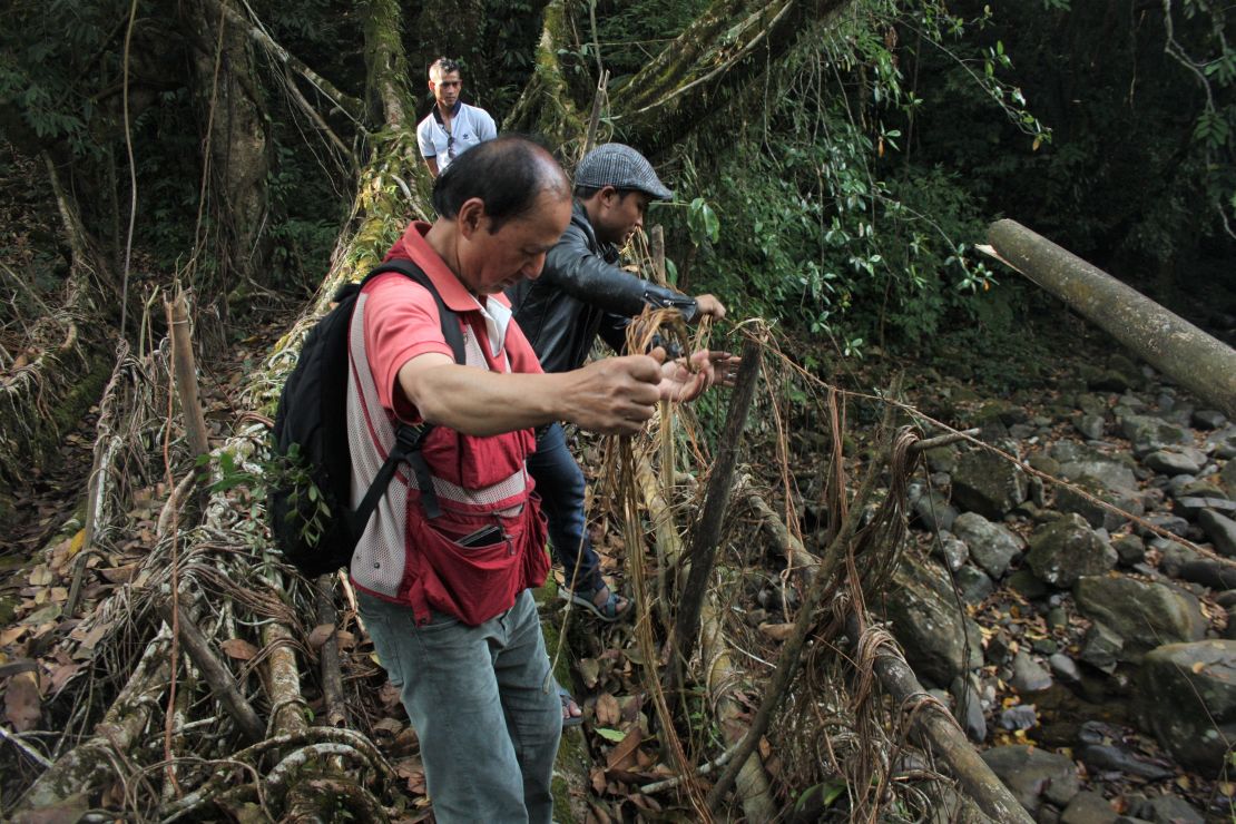 The researchers at work on Padu Bridge.