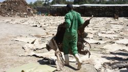 A worker carries one of many dried donkey skins at a slaughterhouse in Kenya. Apr 9