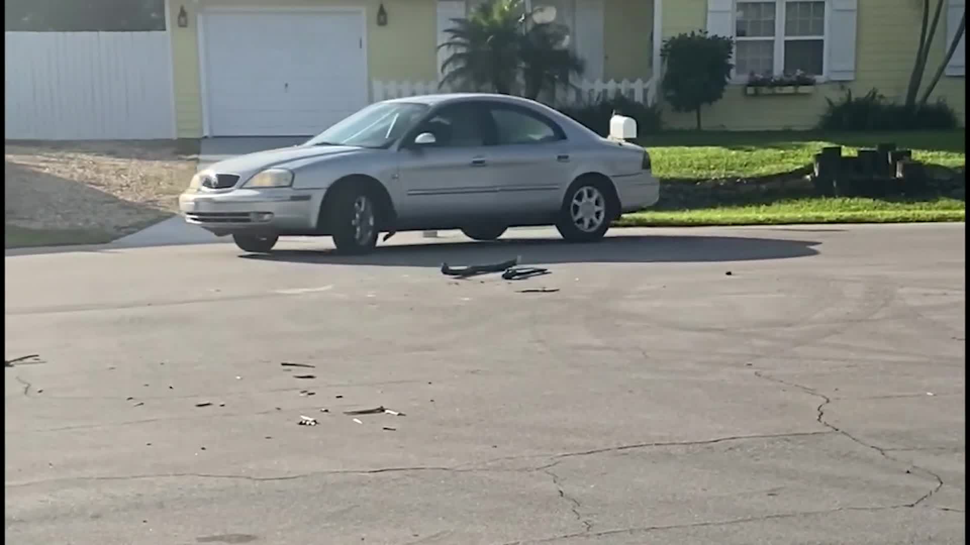 A Florida dog put a car into reverse and drove it in circles for nearly an hour | CNN