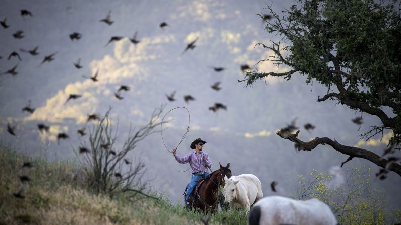 <strong>The Alisal Guest Ranch and Resort, California: </strong>Located in charming and quirky Solvang, this 10,000-acre working cattle ranch mixes cowboys and country club amenities, offering couples and families lessons in horseback riding, along with golf, fishing, archery, hiking and tennis.