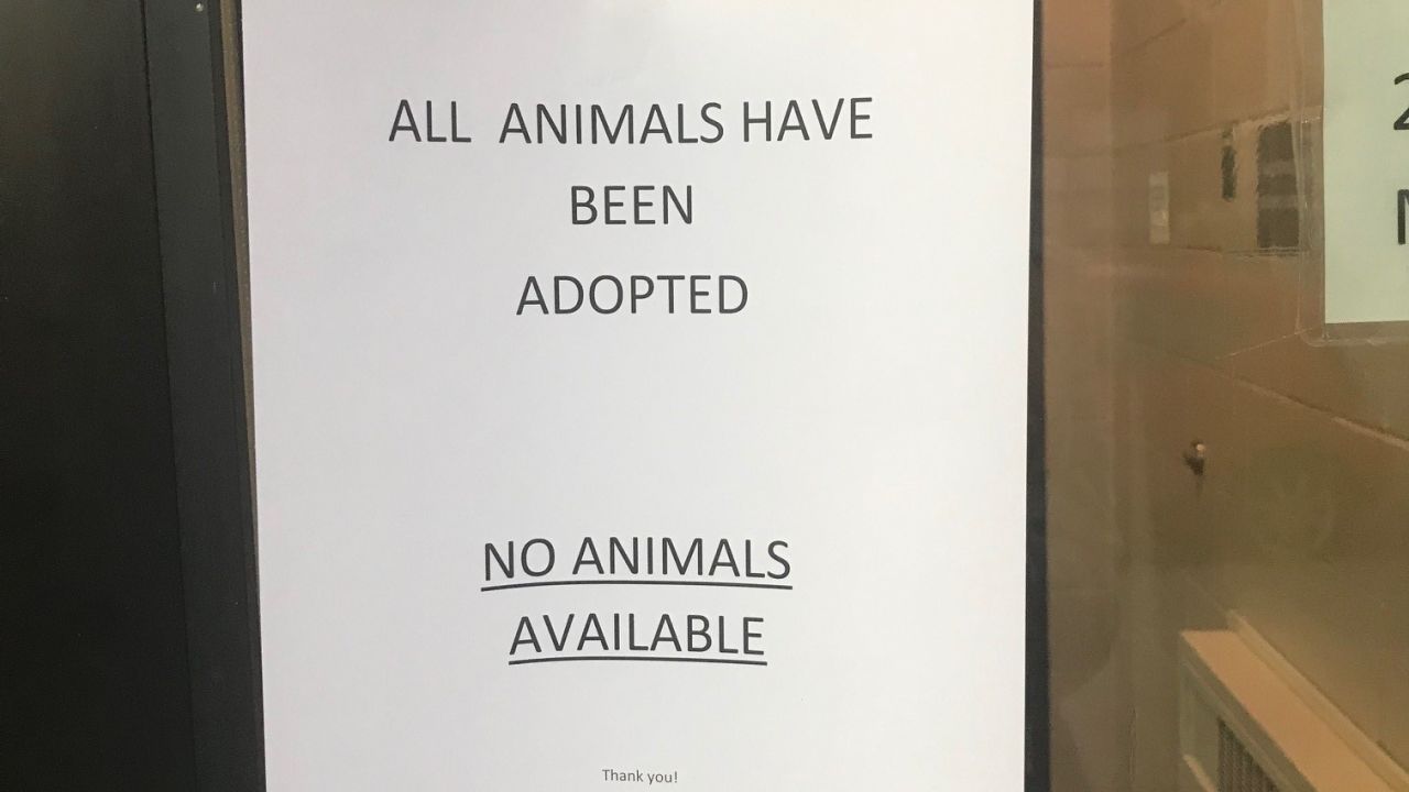 All of the pets at a Minneapolis animal shelter were adopted just in time for the holidays.