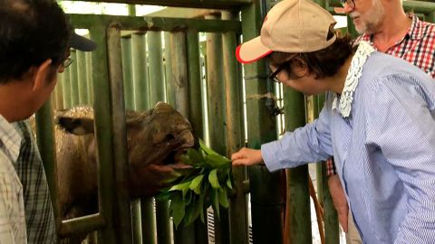 Sabah Deputy Chief Minister Christina Liew visited Iman the Sumatran rhino in August.