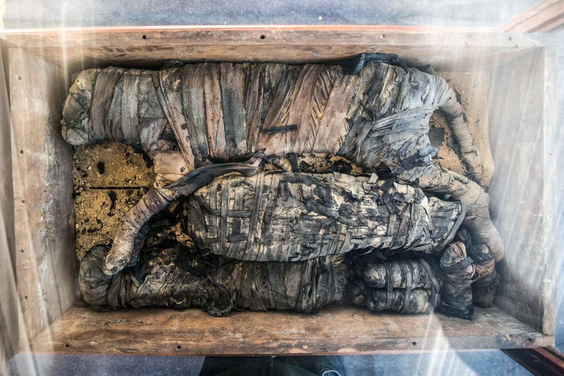 Egypt unveiled a cache of 75 wooden and bronze statues and five lion cub mummies decorated with hieroglyphics at the Saqqara necropolis near the Giza pyramids in Cairo.