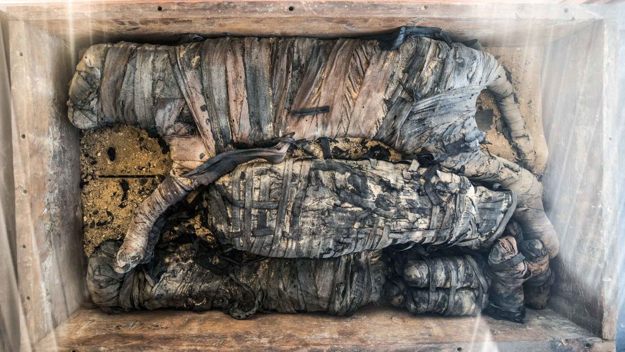 The mummy of a cat is displayed after the announcement of a new discovery carried out by an Egyptian archaeological team in Giza's Saqqara necropolis, south of the capital Cairo, on November 23, 2019. - Egypt today unveiled a cache of 75 wooden and bronze statues and five lion cub mummies decorated with hieroglyphics at the Saqqara necropolis near the Giza pyramids in Cairo.
Mummified cats, cobras, crocodiles and scarabs were also unearthed among the well-preserved mummies and other objects discovered recently. (Photo by Khaled DESOUKI / AFP) (Photo by KHALED DESOUKI/AFP via Getty Images)