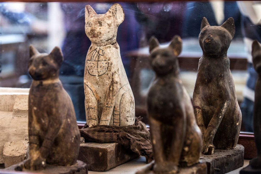 Statues of cats are displayed after the announcement of a new discovery carried out by an Egyptian archaeological team in Giza's Saqqara necropolis, south of the capital Cairo, on November 23, 2019.