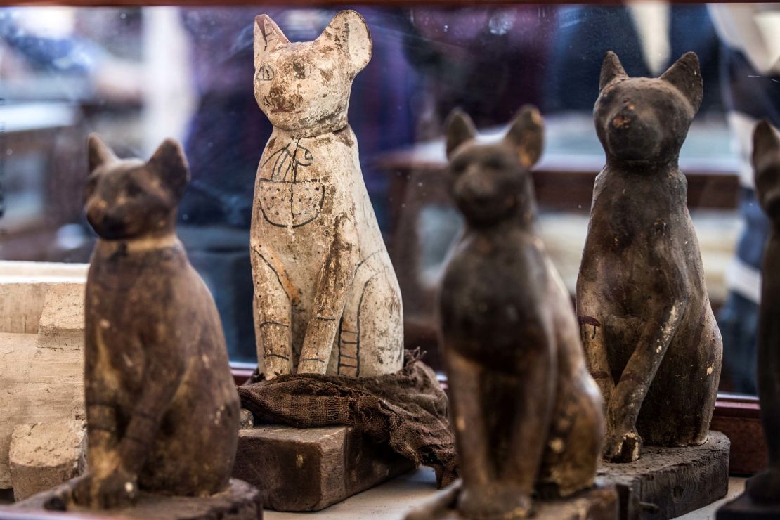 Statues of cats are displayed after the announcement of a new discovery carried out by an Egyptian archaeological team in Giza's Saqqara necropolis, south of the capital Cairo, on November 23, 2019. 