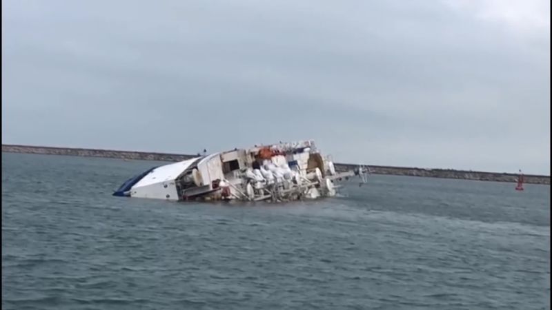 Thousands Of Sheep Feared Drowned After A Cargo Ship Capsized In The ...