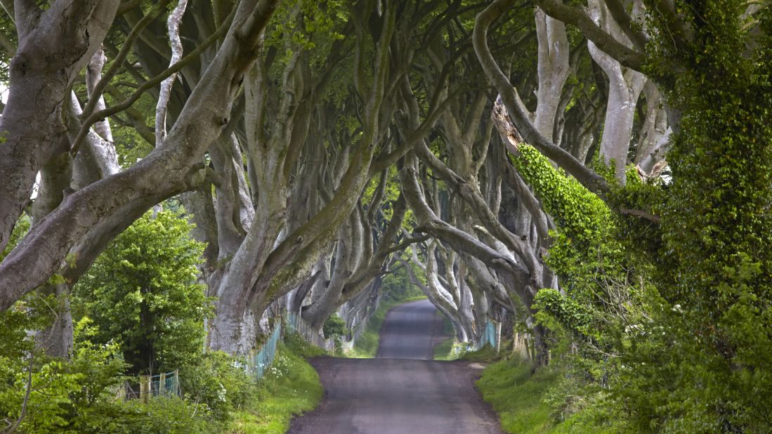 <strong>The Dark Hedges, Bregagh Road, County Antrim, Northern Ireland: </strong> A starring role in "Game of Thrones" has helped make the Bregagh Road, also known as the Dark Hedges, into a popular tourist attraction. 