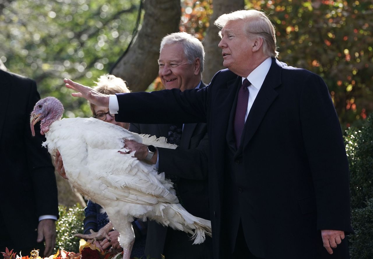 Trump pardons Peas the turkey in 2018. Peas and another turkey, Carrots, were sent to a Virginia farm to spend the rest of their lives.