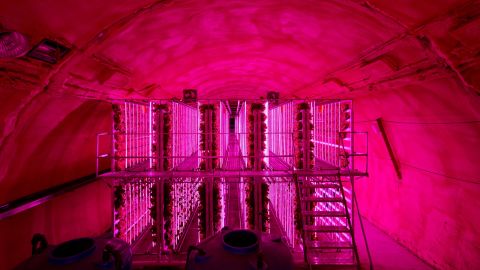 LED lights give an eerie glow to NextOn's vertical farm in South Korea. <br />Scroll through to discover ambitious vertical farming and indoor farming projects around the globe.