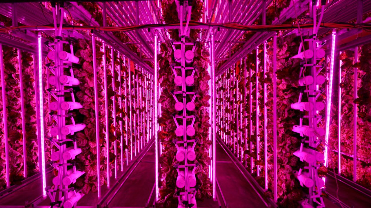 vertical tunnel farming south korea 4