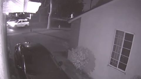 doorbell camera screaming woman car
