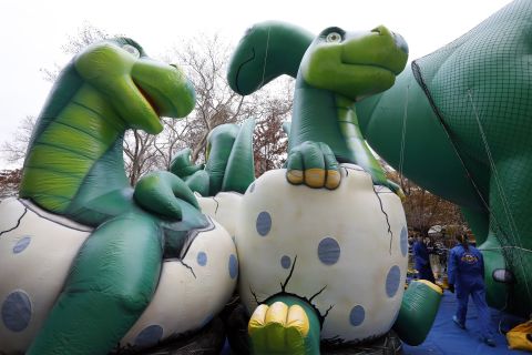Dinosaur balloons are prepared for the parade.